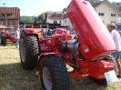 Dammbach2011_32